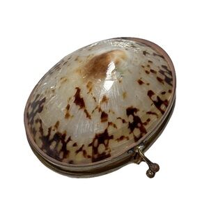 Vintage Limpet Shell Coin Holder 2" Long (Trinket Box)